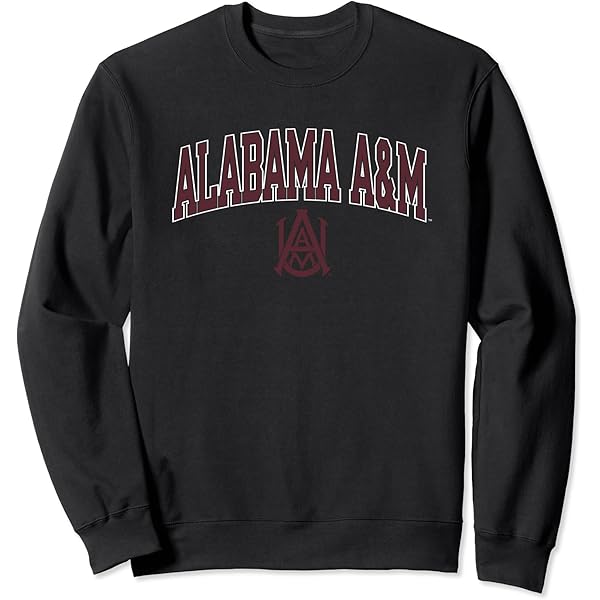ammo 刺繍biglogo sweat (A Lサイズ) Amazon.com : Chico State Wildcats Arch Over Logo Officially