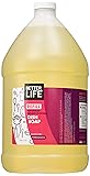 Better Life Sulfate Free Dish Soap Refill, Currant