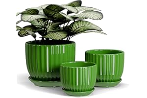 TON SIN Ceramic Plant Pots,4"+5"+6" Inch,Green Flower Pots with Drainage Holes and Tray,Indoor Planters for Plants Pots,Home Office Decoration GIF for Plants,Succulent Pot Set of 3