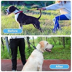 CBBPET Dog Prong Collar, Adjustable Dog Training