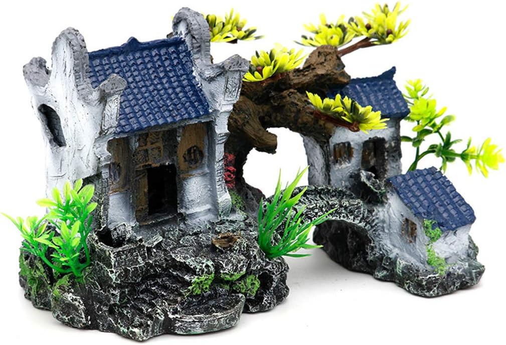 aquarium for fish at home