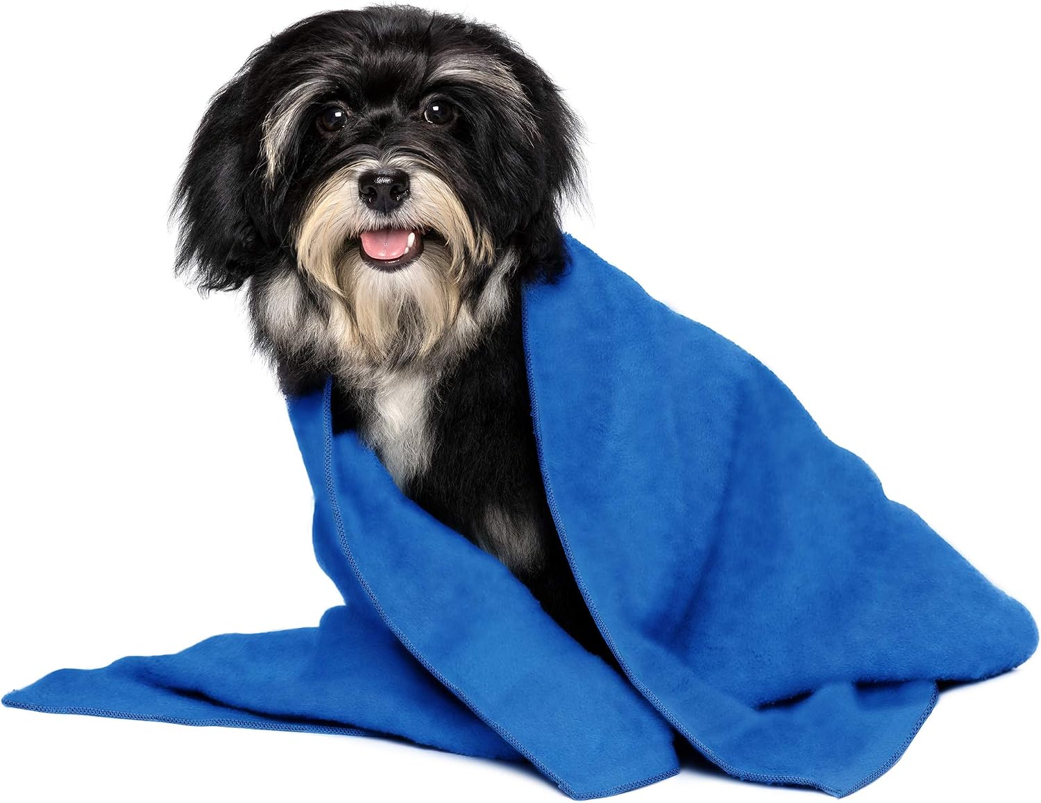 Cloveree Small Dog and Puppy Towel, Absorbent and Quick Drying Microfiber Pet Towels - 2 Pack, Blue