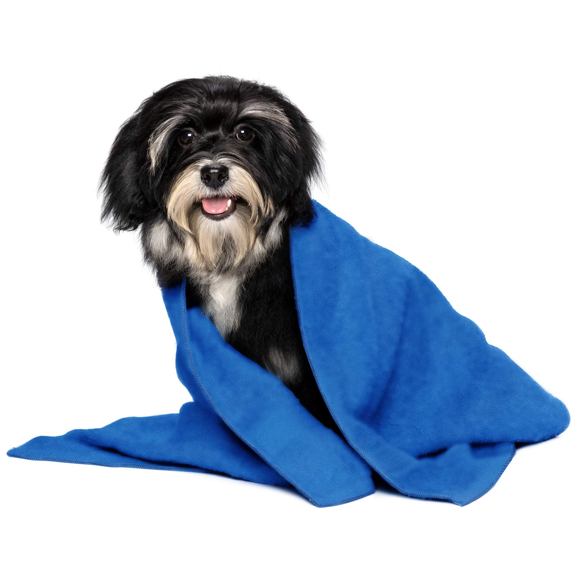 Cloveree Small Dog and Puppy Towel, Absorbent and Quick Drying Microfiber Pet Towels - 2 Pack