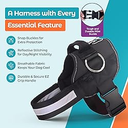 Joyride Basic Essential Dog Harness 1.0