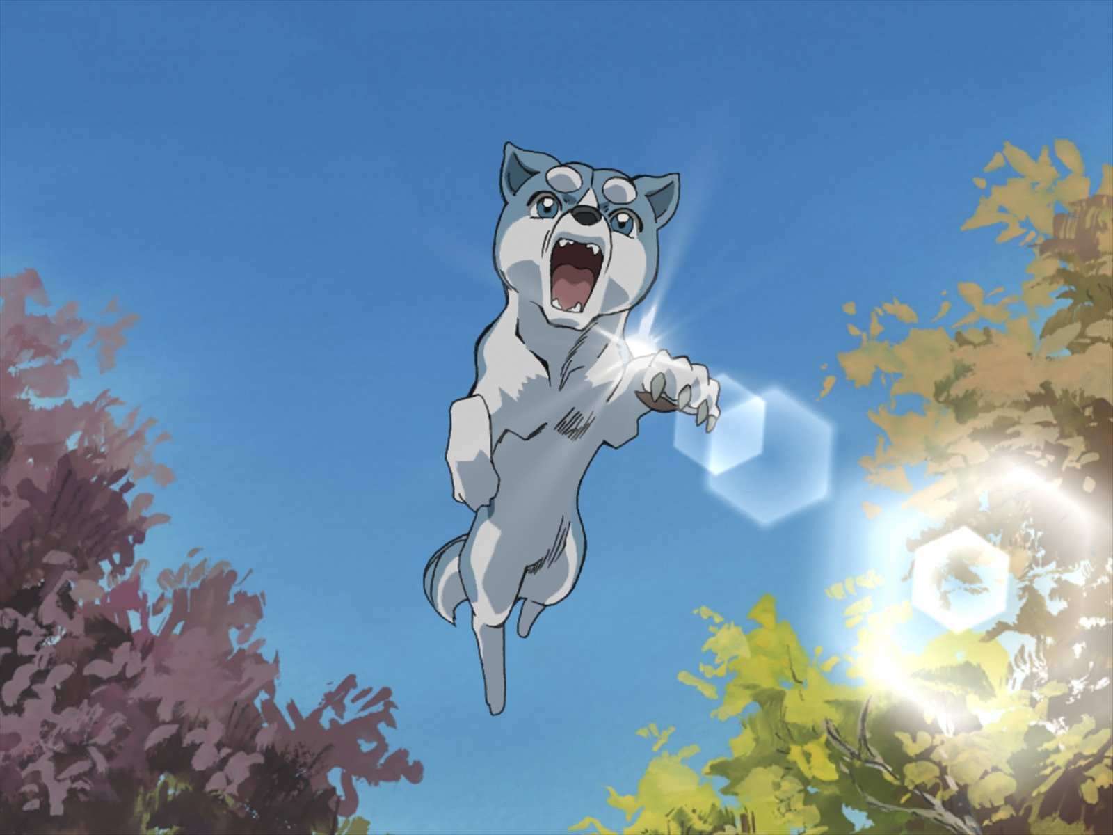 Amazon.co.jp 銀牙伝説WEED(ウィード)を観る Prime Video