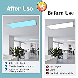 ANGSYLTH 2 Pcs Fluorescent Light Covers - 4 x 2