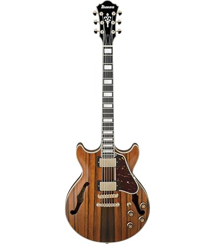 Amazon.com: Ibanez Artcore Expressionist AS93ZW - Natural