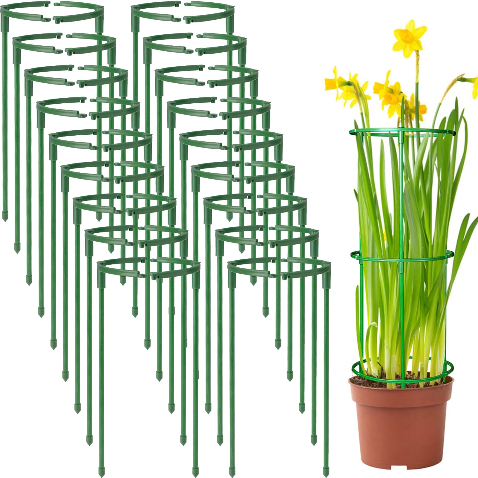 Photo 1 of 36Packs Plant Support Stake Half Round Plant Support for Indoor Plants, Stackable 3 Tier Garden Flower Support, Plant Rings for Tomato,Monstera, Peony, Hydrangea, Climbing Plants