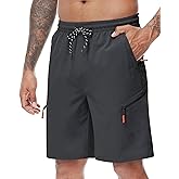 LAZYDAY Men's Hiking Cargo Shorts with Zipper Pockets Elastic Waist Quick Dry for Outdoor,Travel,Summer,Fishing