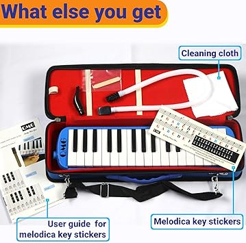 Amazon Com Qmg Melodica 32 Keys With Piano Stickers Hard Cover Carrying Case Mouthpiece Musical Instruments
