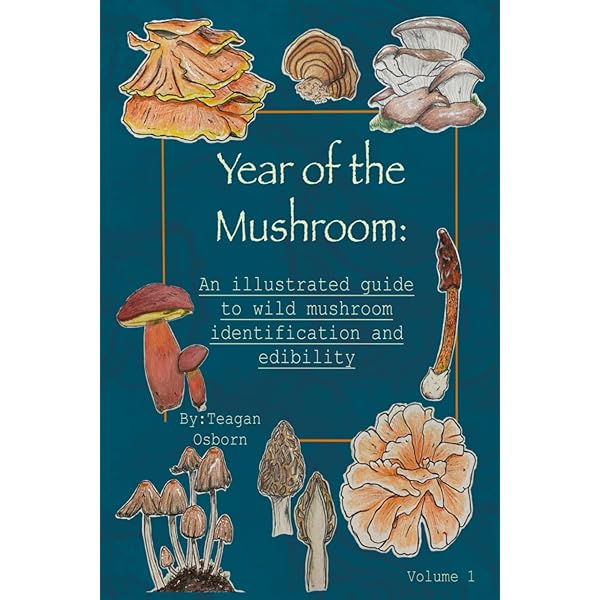 Collins Fungi Guide: Stefan Buczacki . Chris Shields . Denys