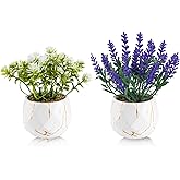 2 Pack Artificial Pot Flowers Small Fake Plants, Artificial Lavender & Wildflower Potted Plants, Fake Mini Plants for Home Decor, Tabletop, Shelf, Office, Bathroom, Farmhouse