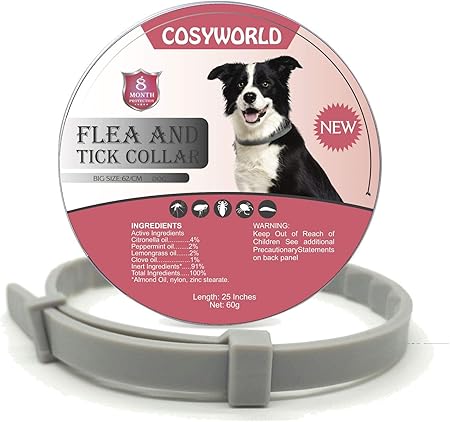 essential oil collar for dogs