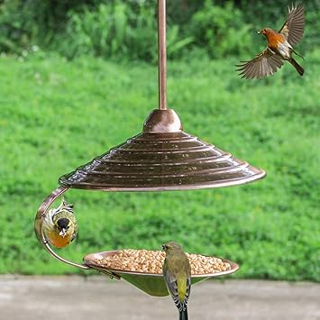 Zelro Wild Hanging Bird Feeders For Outside Metal Attractant Bird