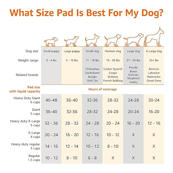 AMAZON BASICS ABSORBENT, LEAK-PROOF DOG AND PUPPY PEE PADS WITH 5-LAYER DESIGN AND QUICK-DRY SURFACE FOR POTTY TRAINING, STANDARD ABSORBENCY, REGULAR SIZE, 22 X 22 INCH – PACK OF 50, BLUE & WHITE