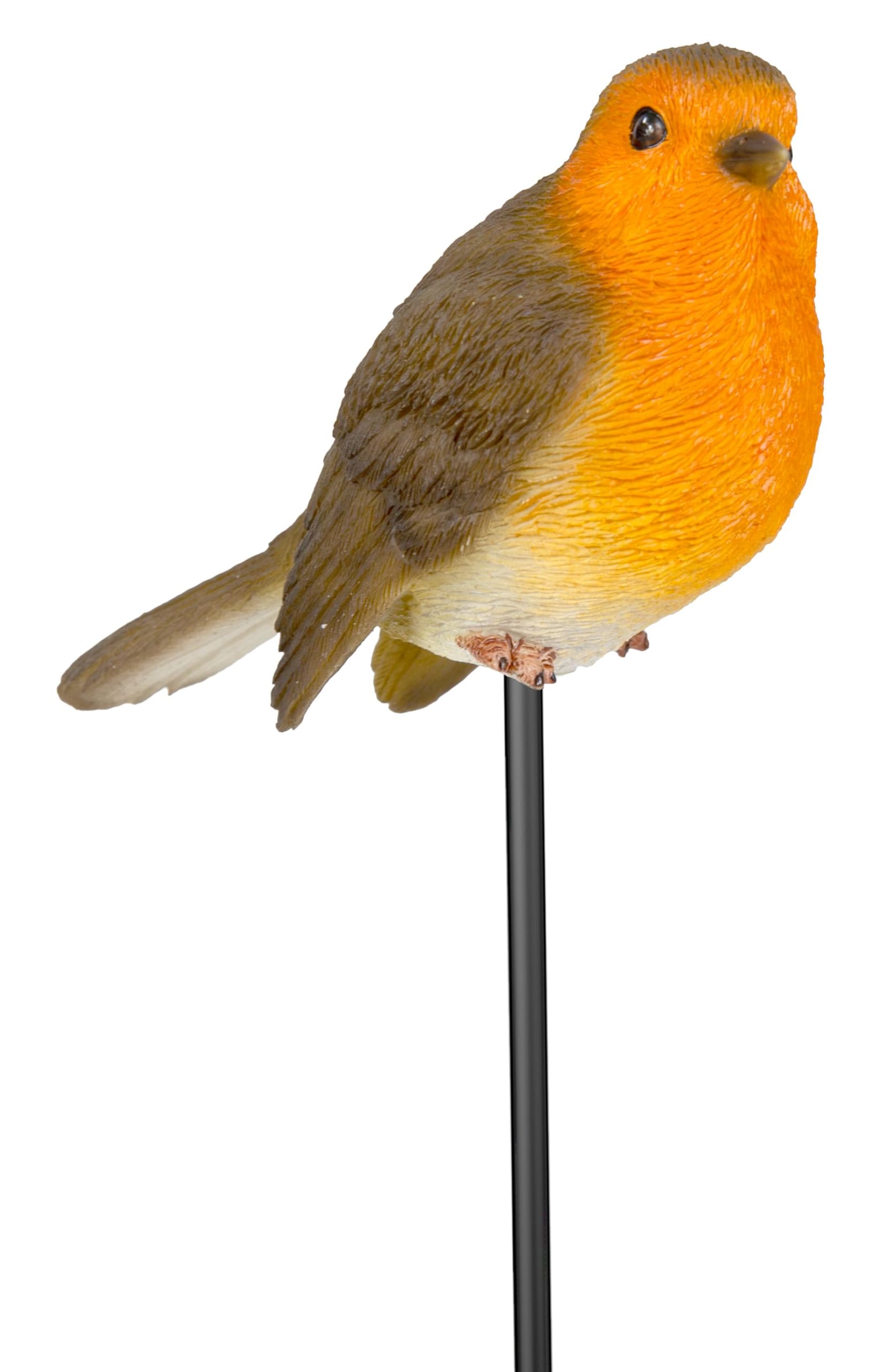 Vivid Arts - Robin Plant Pal - PLP-099