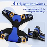 rabbitgoo Large Dog Harness No Pull Reflective Adjustable Blue XL view 5