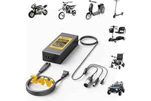 Carsty Hoverboard Charger, Electric Scooter Charger, Wheelchair Charger | Universal 3-in-1 Fast Charging Solution | 24V 2A