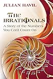 The Irrationals: A Story of the Numbers You Can't Count On
