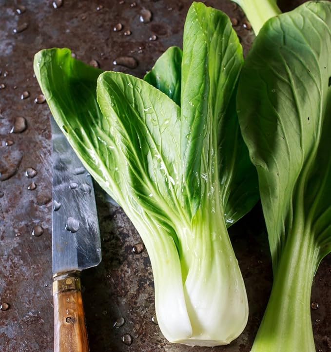 Brassière laine bébé bio Clearance