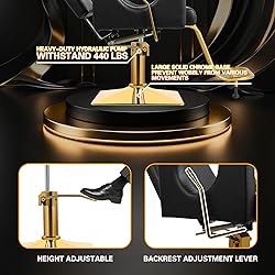 LUXMARS Heavy Duty Barber Chair, 360° Swivel
