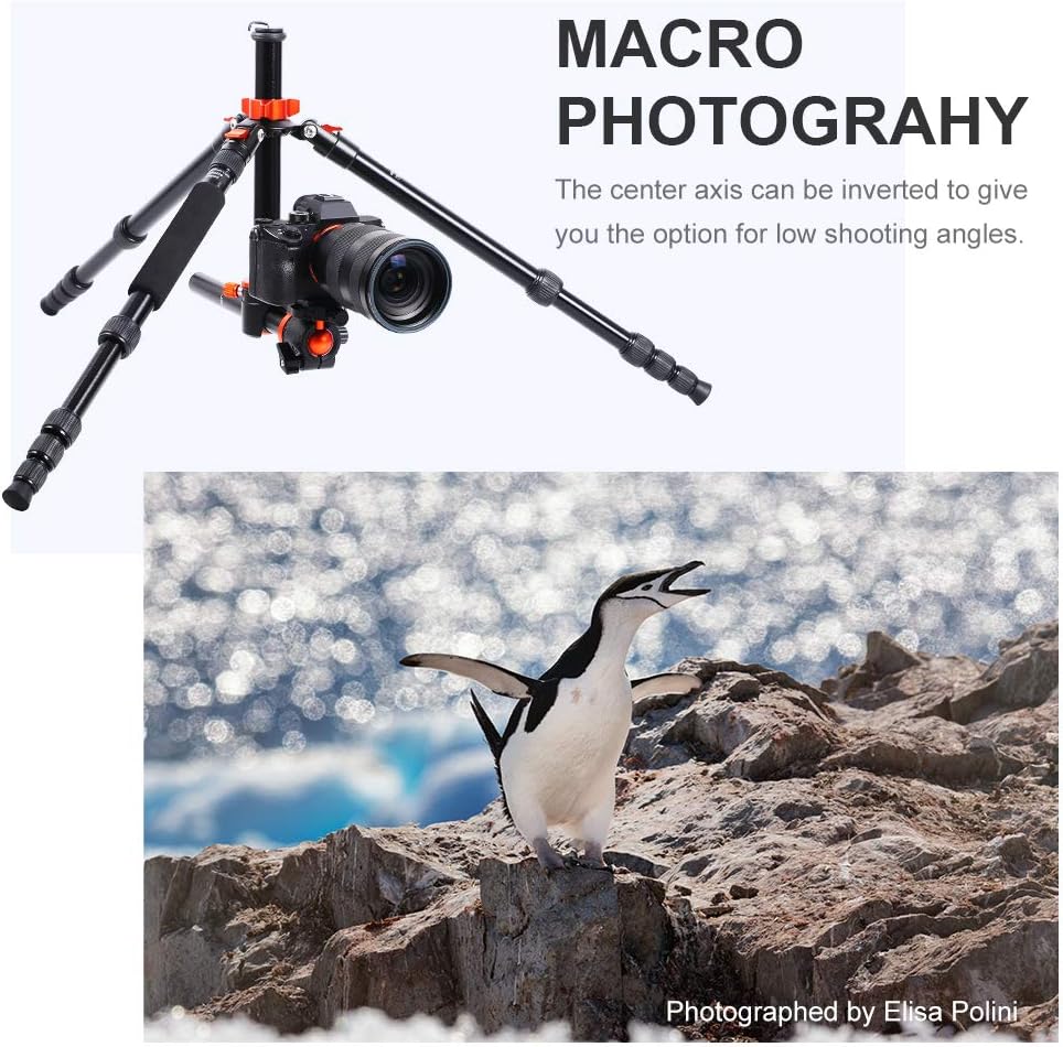 K&F Concept TM2515T1 Professional 67 inch Camera Tripod Horizontal Aluminium Tripods Portable Monopod with 360 Degree Ball Head Quick Release Plate for Canon Nikon Sony DSLR Cameras : Camera & Photo