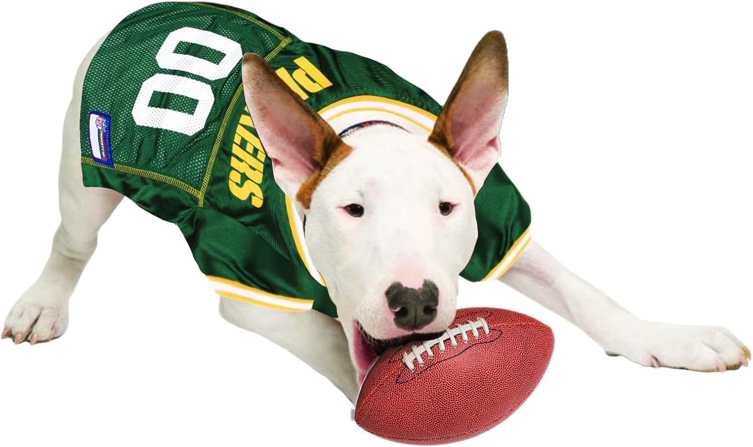 packers dog jersey