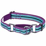 Blueberry Pet 4 Colors 3M Reflective Multi-Colored