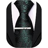 Barry.Wang Paisley Tie for Men Silk Woven Necktie and Tie Clip Set Wedding Party Business Formal