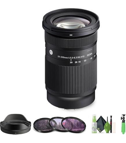 Amazon.com : 20-200mm F 3.5-6.3 DG for Sony E Mount : Electronics