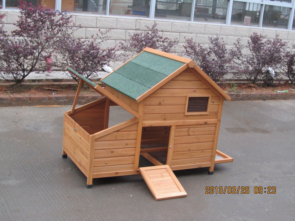 Poulailler Bantam Xl Amazonfr Animalerie