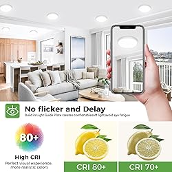 zemty LED Ceiling Light 6.5 Inch, 12W 1200lm