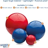 Company of Animals Boomer Ball 10 inch Tough Dog Toy Floats Assorted view 5