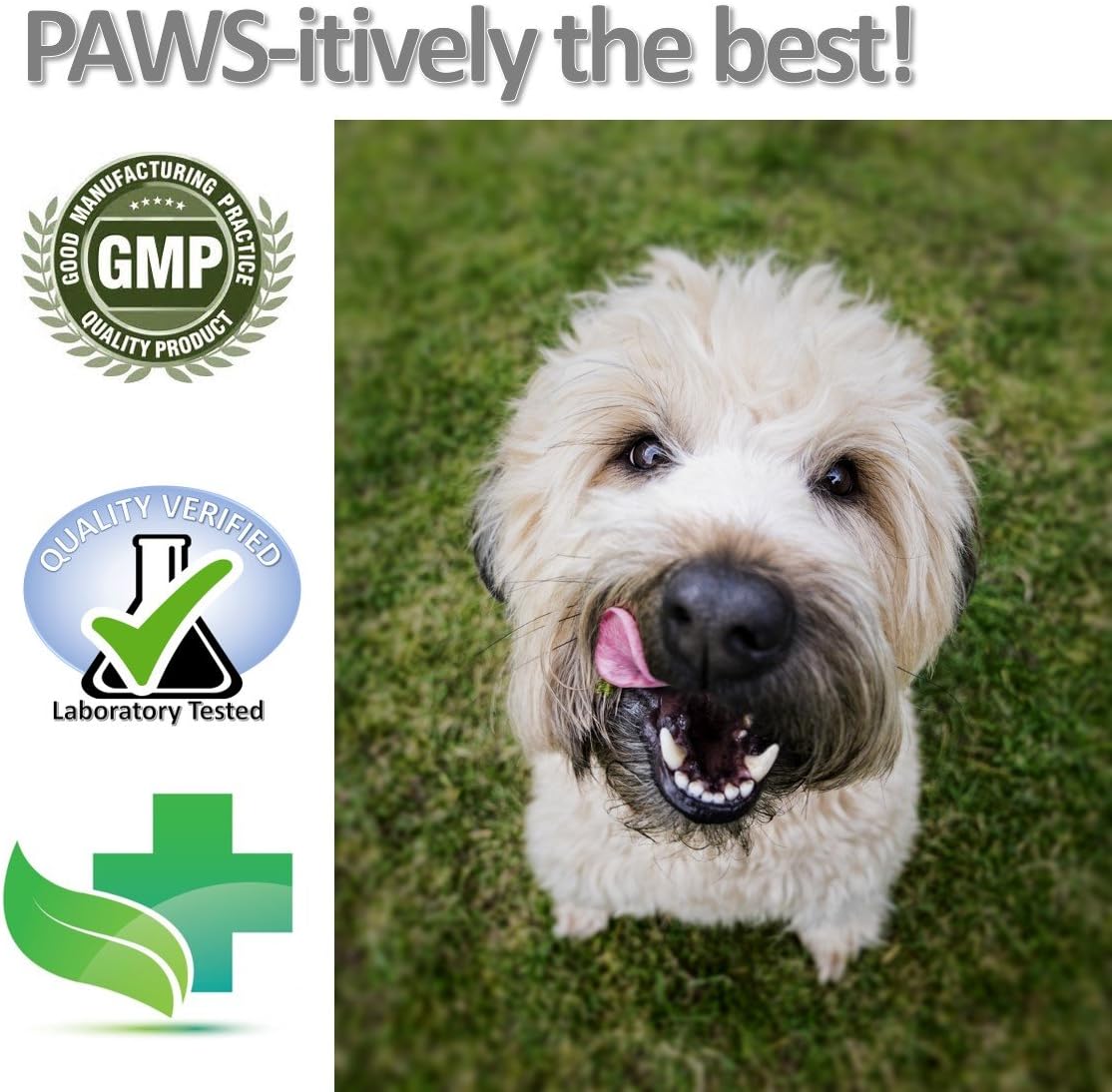 top paw potty time fire hydrant