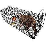 Professional Humane Live Animal Trap 28"X12"X12" Catch Release Cage for Large Nuisance Rodents Control Raccoon Mole Gopher Opossum Skunk Groundhog Squirrel Spay Feral Stray Cats Rescue Wild Rabbits