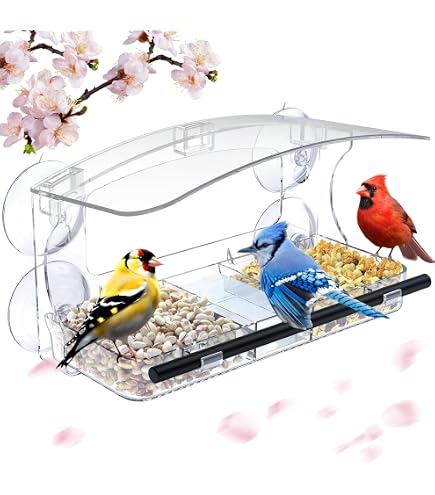 Comedero Para Pájaros De Ventana Transparente | Con 2 Divisores Y Bebedero | Fácil Limpieza, Ideal Para Observación