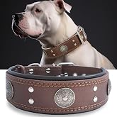 Genuine Leather Dog Collar for Large Dogs,2 in Wide Heavy Duty,BN-M | Handmade,Stainless Steel Buckle,Soft Padded,Alloy Studded,Luxury Eye-catching Design,Medium Large Giant Breeds,19.5-23.5 in