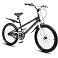 RoyalBaby Kids Bike EZ Balance to Pedal Dual Handbrake Toddlers Boys Girls Bicycle 12-20 Inch for Age 3-10 Years