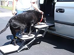 Pet Loader® XL 18" Platform, USA ABS, 5-Step