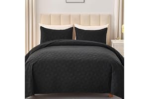 OARAGE Queen Quilt Bedding Set Black Lightweight Quilted Bedspread Full Size with Pinwheel Motif,Soft Microfiber Quilting Coverlet for All Seasons (1 Quilt, 2 Shams)