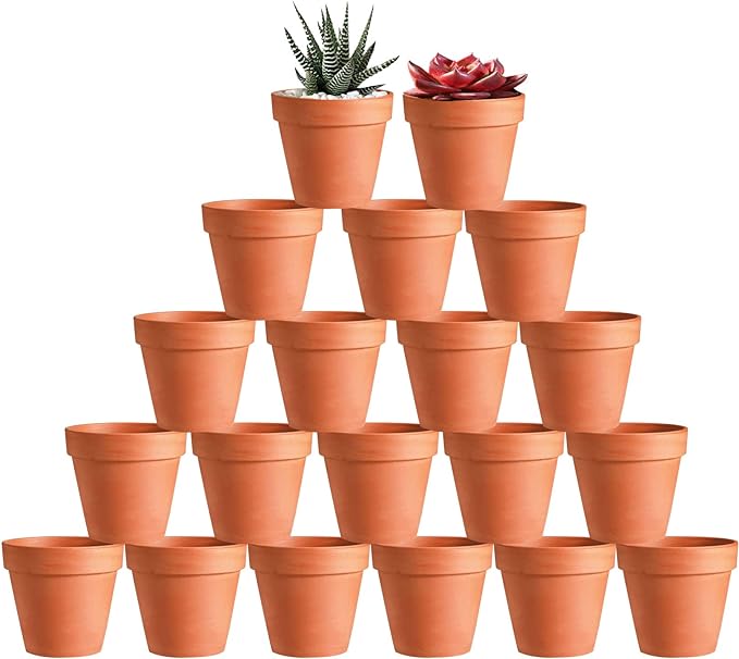 Plant of the month Club buy 5 months get one free sent Plant of the month Club buy 5 months get one free sent