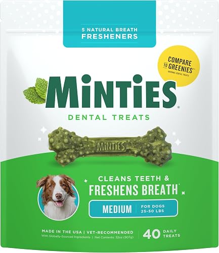 VetIQ Minties golosinas dentales para perros medianos a grandes — Golosinas