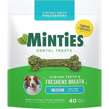 Amazon Best Sellers: Best Pet Supplies
