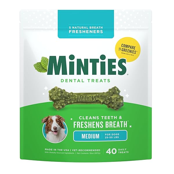MINTIES DENTAL CHEWS FOR DOGS, 40 COUNT, VET-RECOMMENDED...