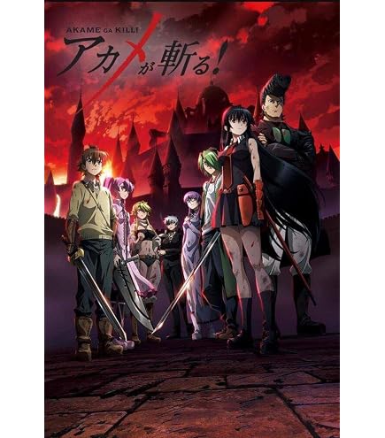 Amazon.com: Christ-EZ Anime Cartoons Akame ga Kill! Wall Art Print