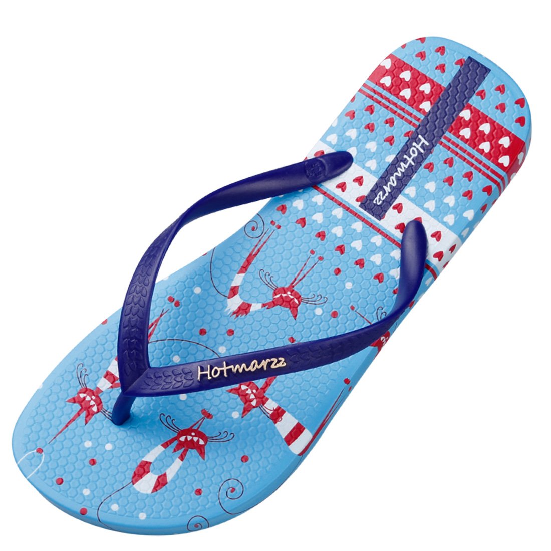 Buy Hotmarzz Women's Flip Flops Sandals Seagull Birds Animals Summer Beach  Slippers Online at desertcartIsle of Man