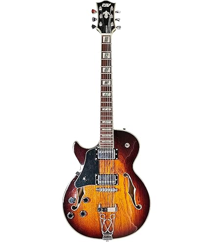 Amazon.com: AF55 Hollow Body Left-Handed Electric Guitar