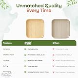 FOOGO Green 25pcs Disposable Palm Leaf Plates 10in Square Eco Biodegradable view 6
