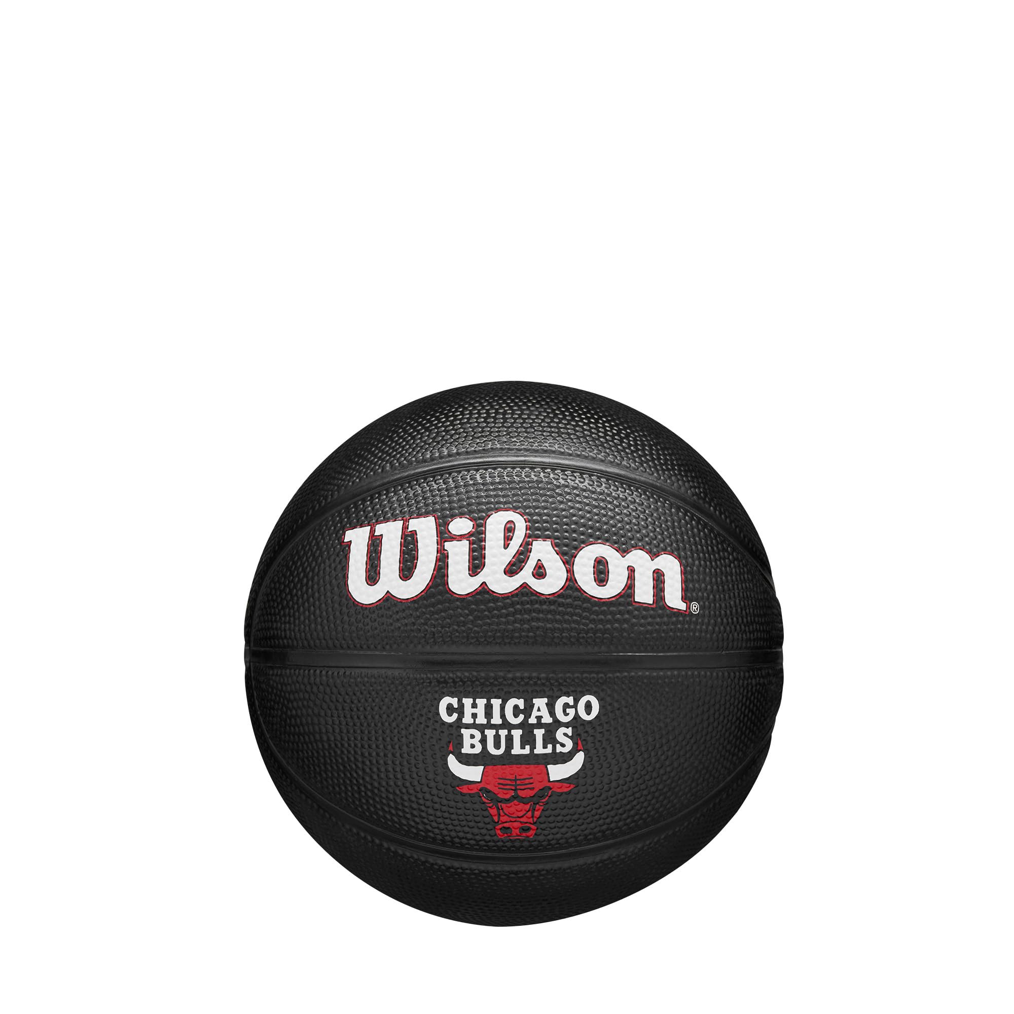 Wilson NBA Team Tribute Mini Basketball