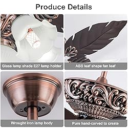 BOOMJOY 52 inch Ceiling Fans with Lights and